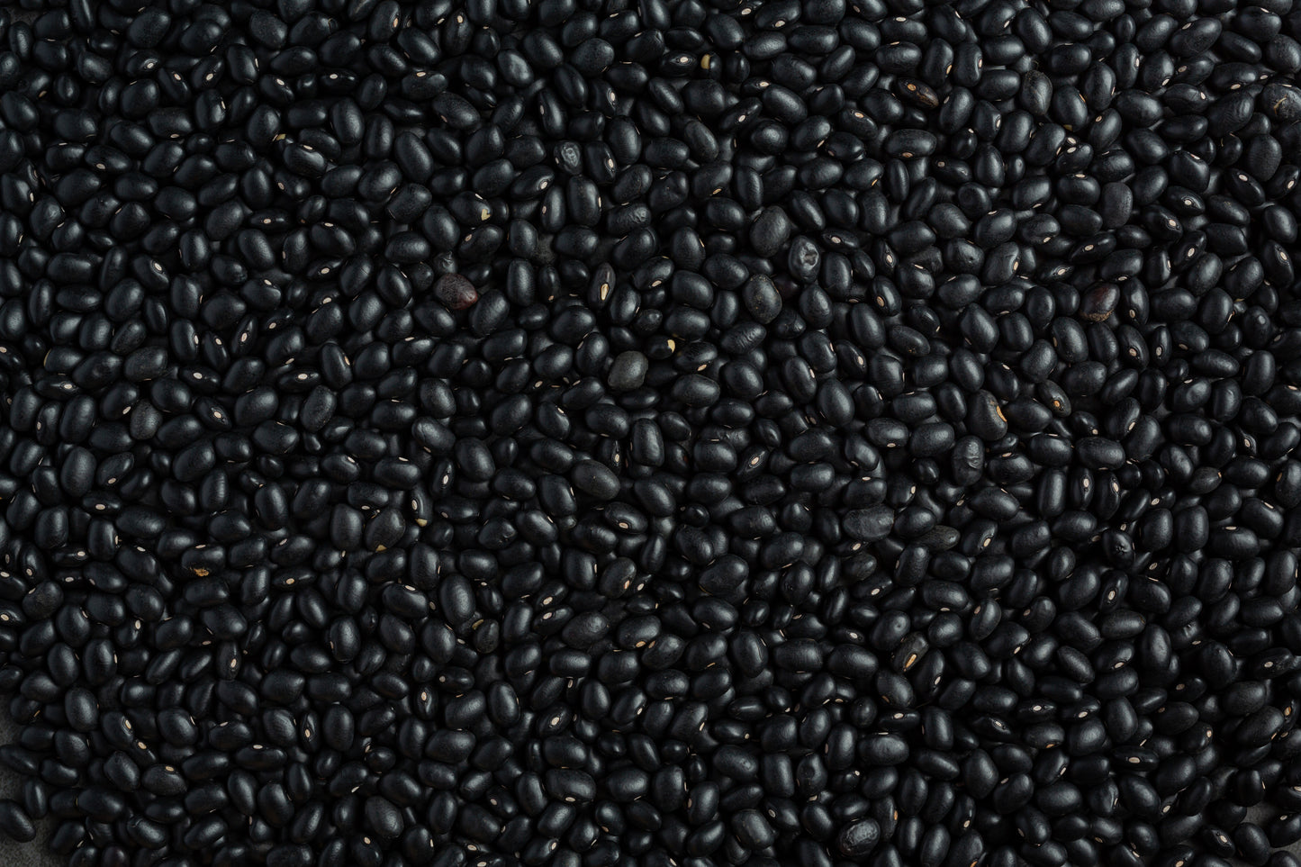 Organic Urad Dal/Black Gram Whole