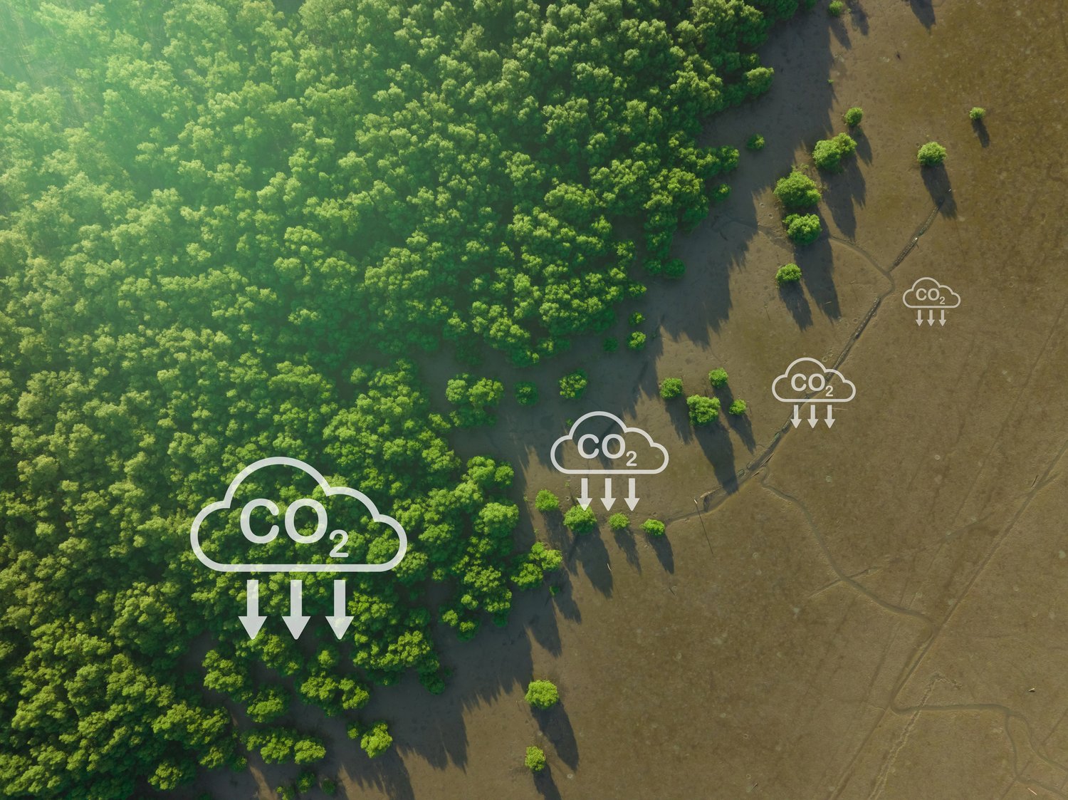 reduced carbon footprint