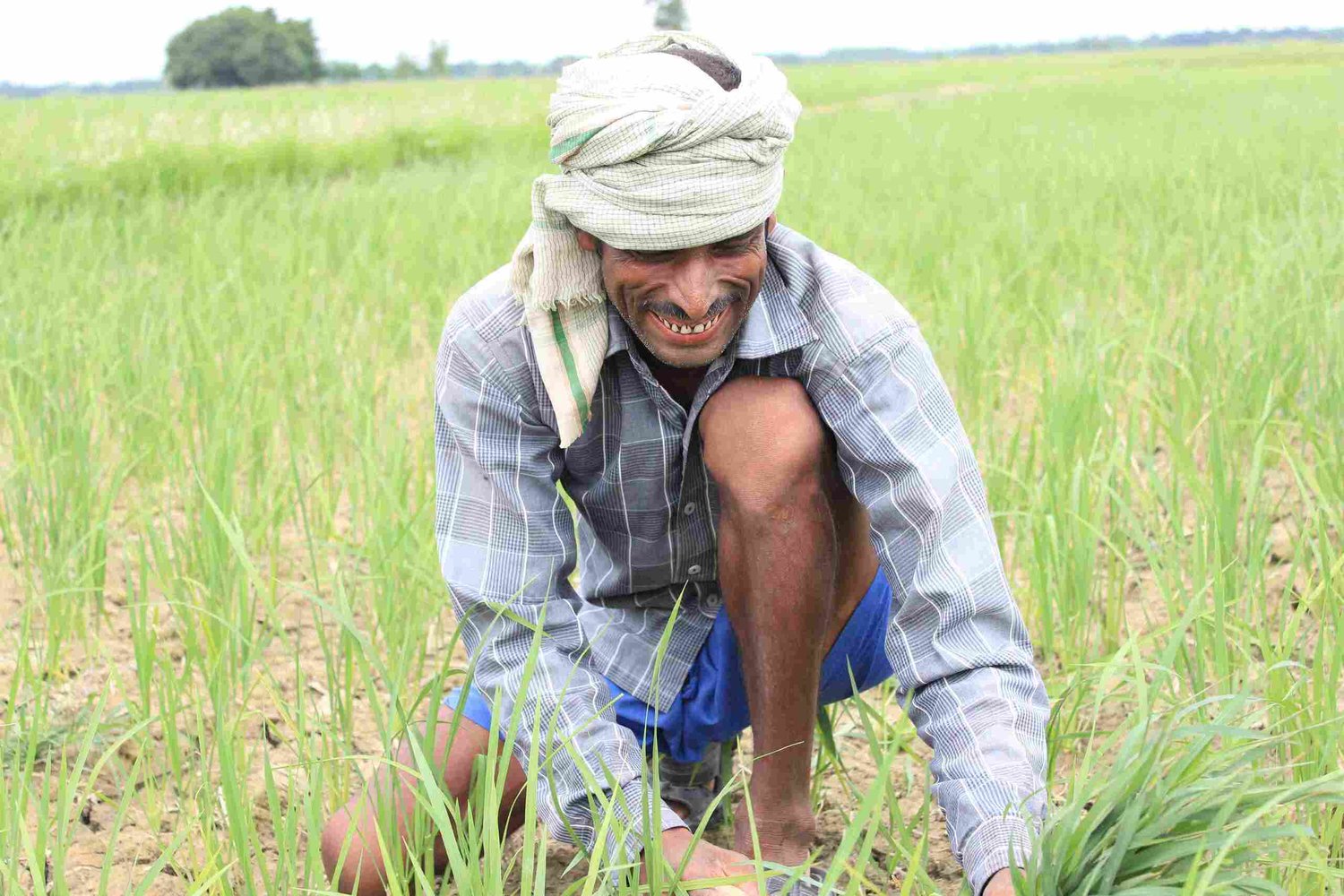 organic farmer