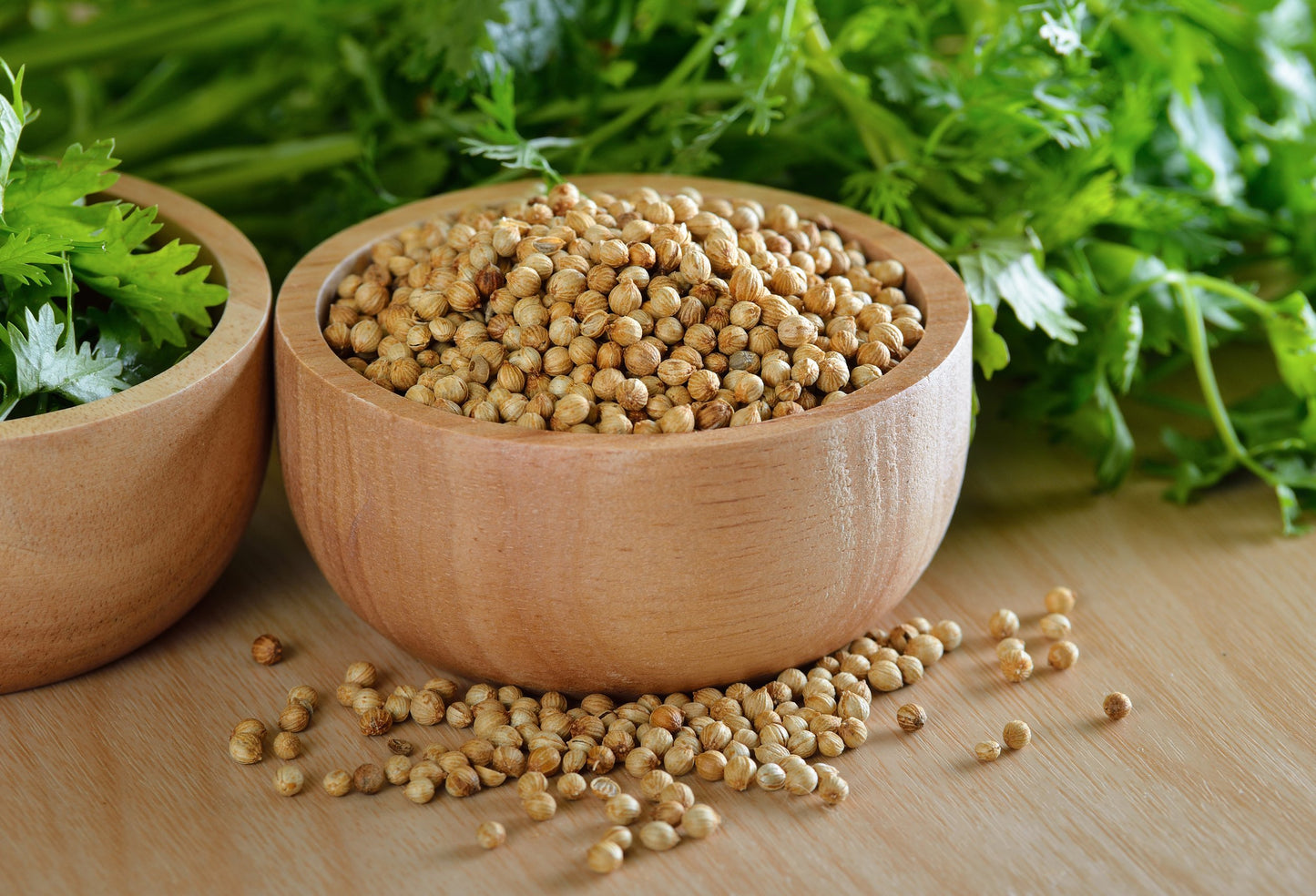 Organic Coriander Whole / Dhaniya
